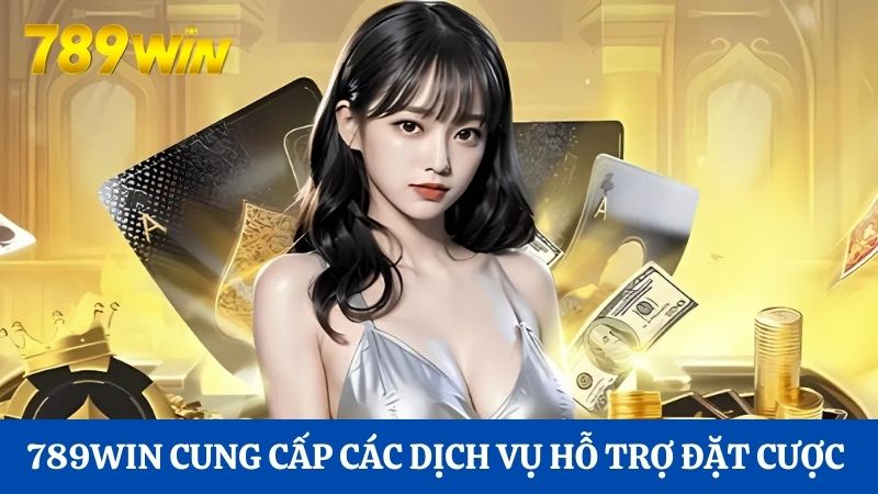 CEO Alan Phan 3 Những dịch vụ hỗ trợ đặt cược mà nhà cái phát triển