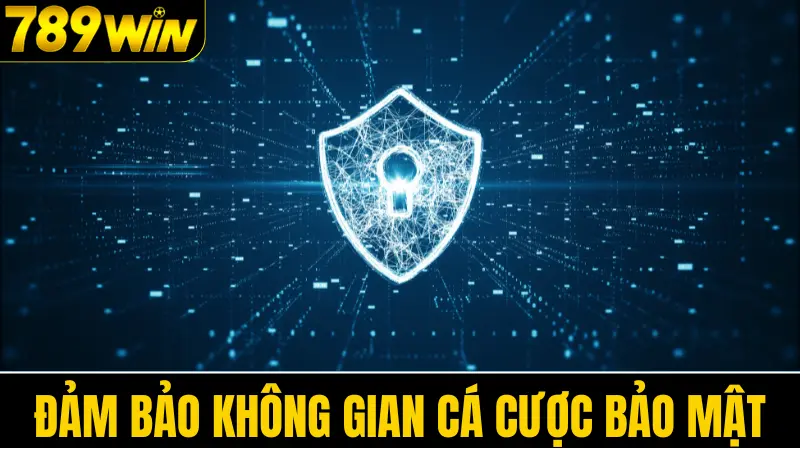 Câu Hỏi Thường Gặp Về 789win 4 Đảm bảo không gian cá cược bảo mật
