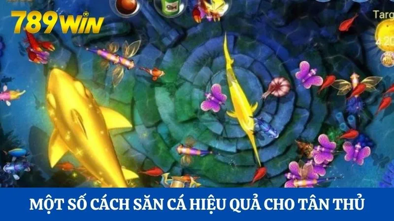 Bắn cá 3D là gì? Xu hướng bắn cá đổi thưởng tại 789Win 3 Một số cách săn cá hiệu quả cho tân thủ
