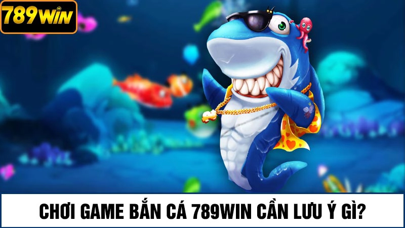 Trải nghiệm game bắn cá 789Win săn thưởng khủng mỗi ngày 4 Những lưu ý khi chơi game bắn cá 789Win